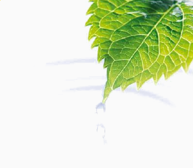 Understanding Plant Tissue Analysis