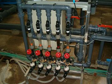 Injectors.jpg