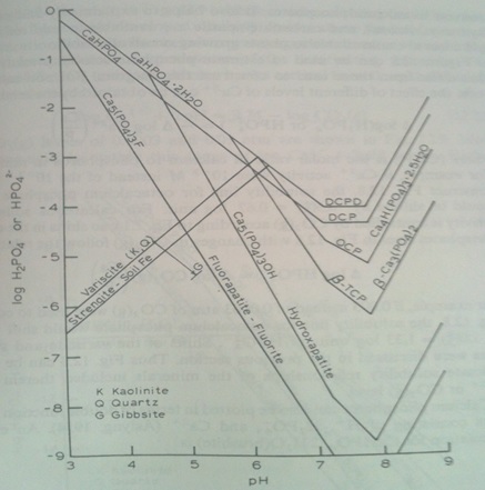 calcium-phosphates-solubility.jpg