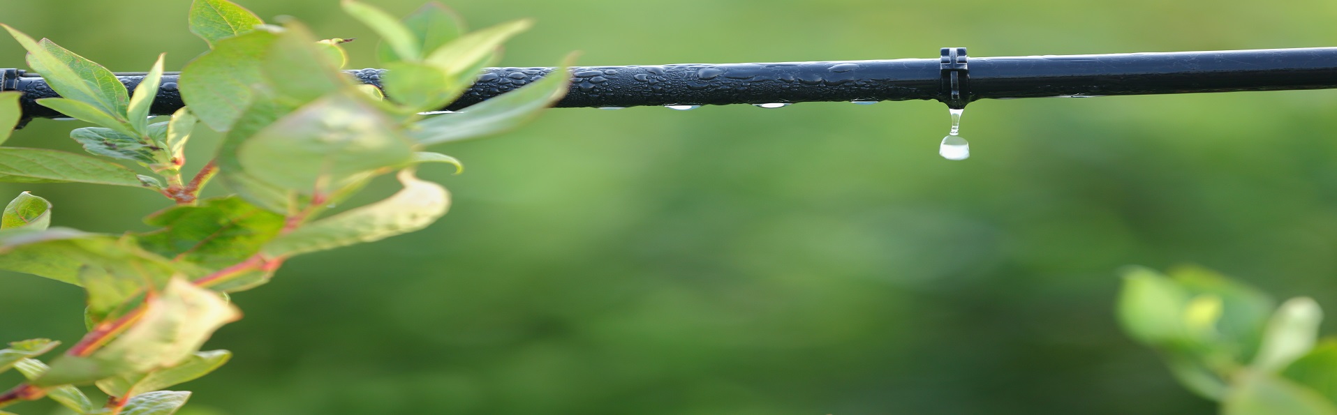 Drip Irrigation Systems