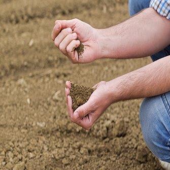 Understanding the Five Most Important Parameters on your Soil Test Report