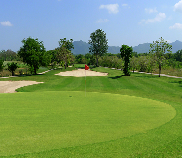 Turf-grass-golf-300.jpg