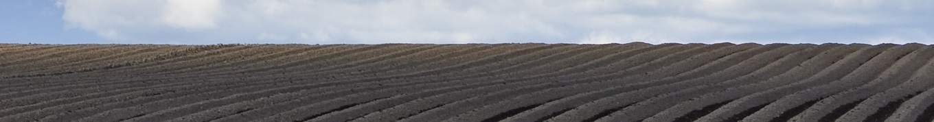 soil-fertility.jpg