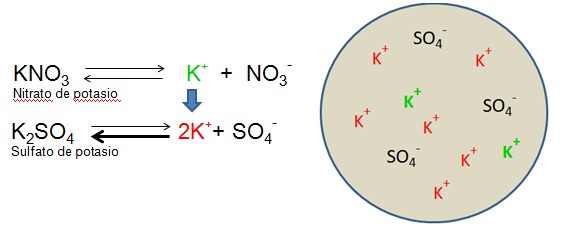 common-ion-effect.jpg
