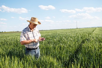 Sistemas de apoyo a la toma de decisiones para la agricultura: ¿Qué hay por ahí?