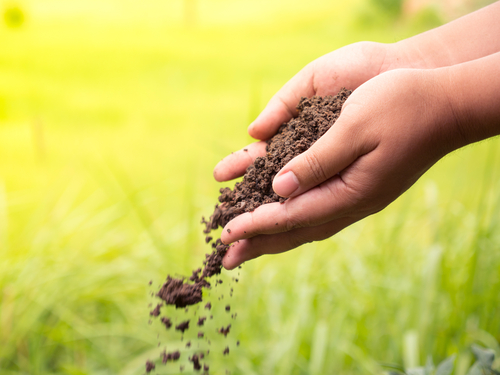 Fertilización con materia orgánica