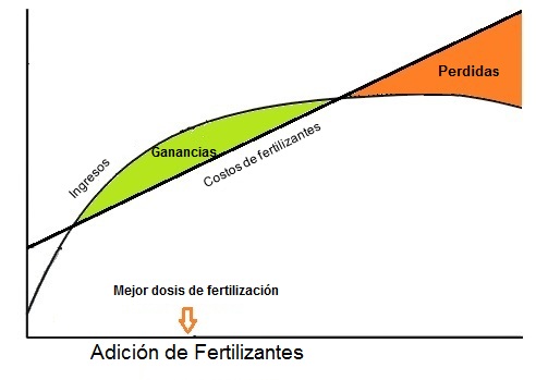 rendimiento-economico.jpg