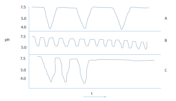 Injection Uniformity