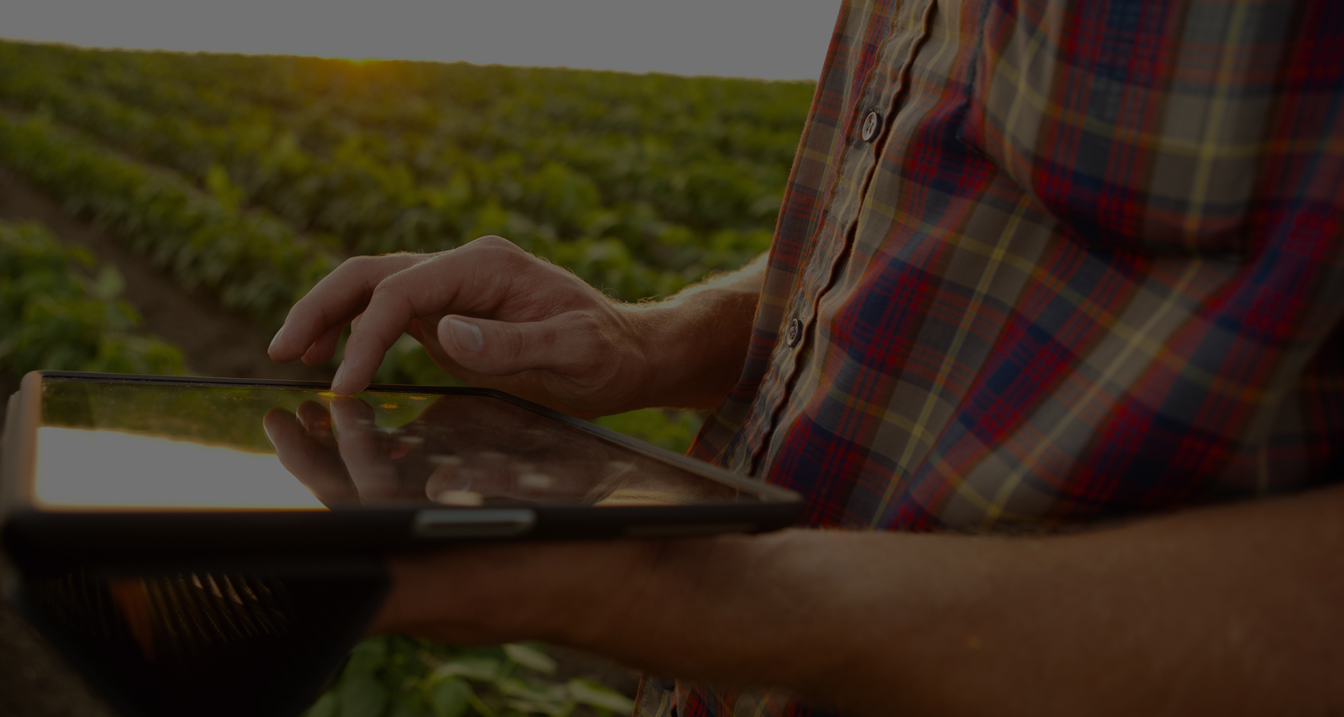 Smart Fertilizer Software