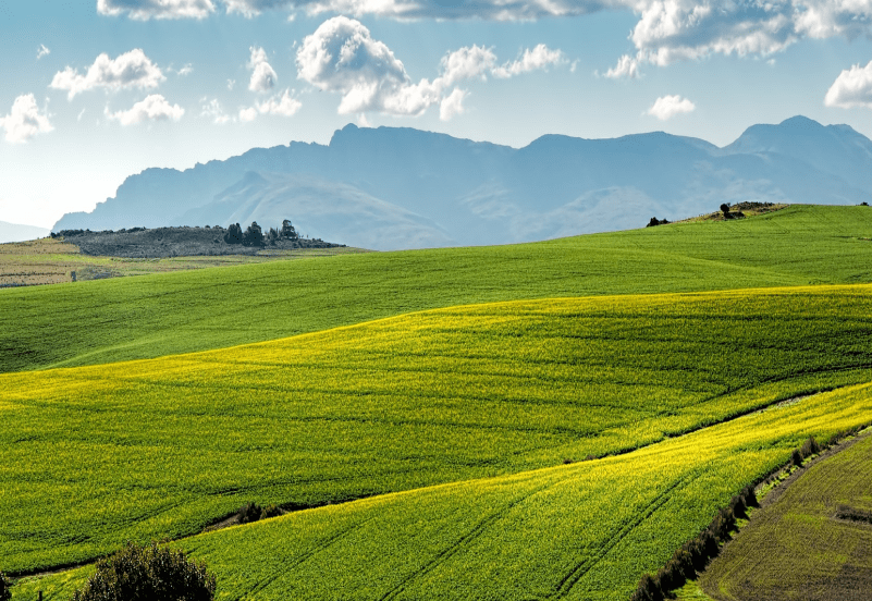 Phone with app Smart Fertilizer Software