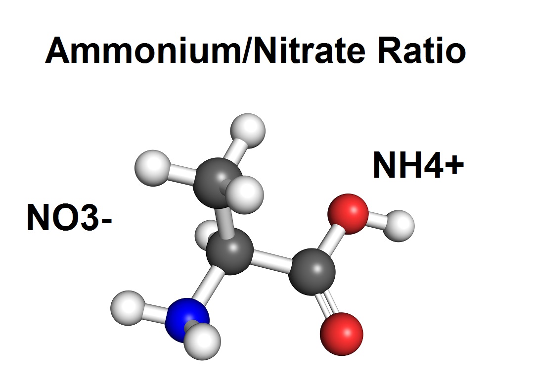 Ammonium/Nitrate Ratio